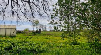 Saimniecība ar māju un plašu zemi Talsu novadā