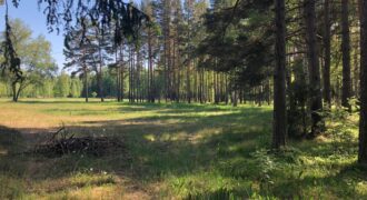 Ekskluzīvs zemes gabals pie jūras – Upesgrīva, 1.līnija