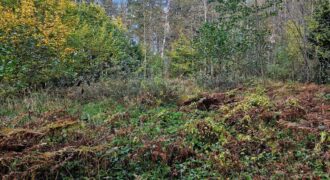 Pārdod zemi Kaltenē – 2 vienības