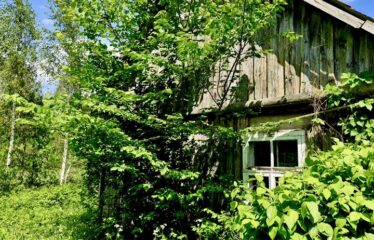 Divi gleznaini lauku īpašumi ar ēkām – Abavas pagasts, Talsu novads