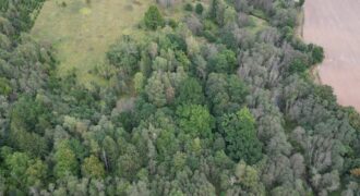 Zeme ainaviskā vietā – Abavas pagastā