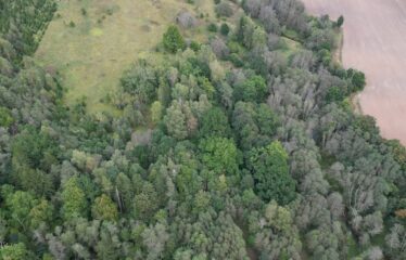 Zeme ainaviskā vietā – Abavas pagastā