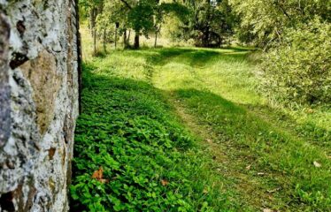 Lauku īpašums netālu no Talsiem