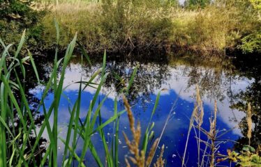 Lauku īpašums netālu no Talsiem