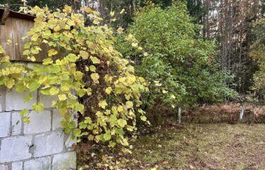 Īpašums Mērsragā, klusā privātmāju rajonā