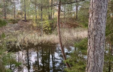 Īpašums Mērsragā, klusā privātmāju rajonā