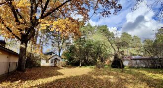 Zemesgabals ar namiņu Berģos