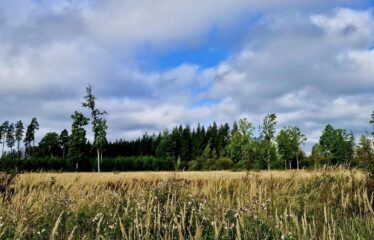 Lauku īpašums netālu no Talsiem