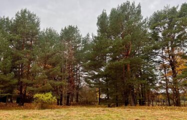 Zemes gabals Ventspilī, Staldzenē