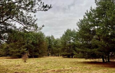 Zemes gabals Ventspilī, Staldzenē