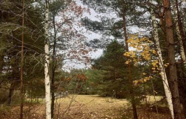 Zemes gabals Ventspilī, Staldzenē