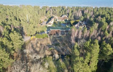 Zemes gabals Žocenē