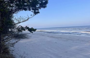 Zemes gabals Žocenē