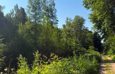 Zemes gabals Sabilē, Gravas ielā